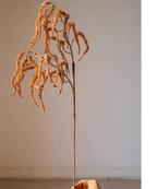 Artificial Amaranth Stem 23.6" Tall