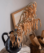 Artificial Amaranth Stem 23.6" Tall