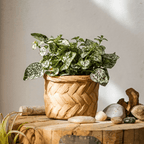 Bamboo Looking Cement Planter