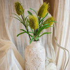 Banksia Stem
