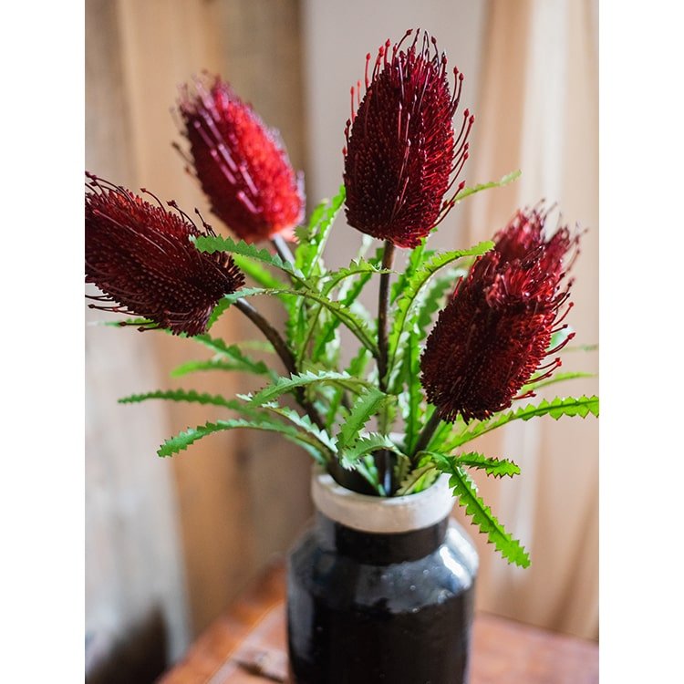Banksia Stem
