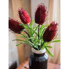 Banksia Stem