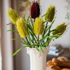 Banksia Stem
