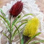 Banksia Stem