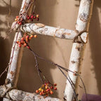 White Birch Wood Decorative Ladder
