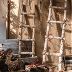 White Birch Wood Decorative Ladder