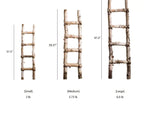 White Birch Wood Decorative Ladder