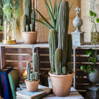 Artificial Faux Cactus in Brown Pot