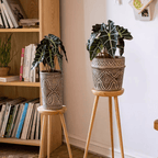 Classic Element Art Planter Clay Flowerpot