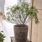Classic Element Art Planter Clay Flowerpot