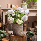 Classic Element Art Planter Clay Flowerpot