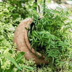 Distressed Cement Plant Pot