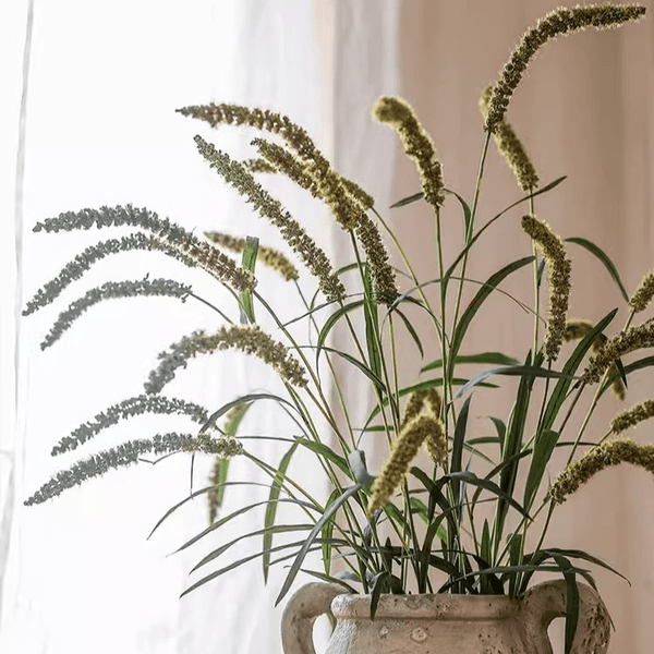 Three-Headed Dogtail Grass Stem 39" Tall