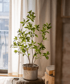 Artificial Japanese Enkianthus Tree Faux