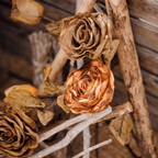 French Dried Look Faux Rose Stem 26" Tall