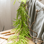 Artificial Ferns Vine Stem 39" Long