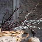 Ikebana Twig Branch