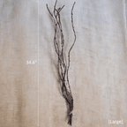 Ikebana Twig Branch
