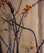 Ikebana Twig Branch