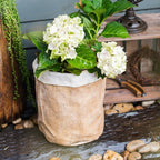 Paper Bag Garden Pot