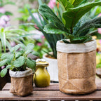 Paper Bag Garden Pot