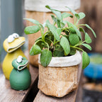 Paper Bag Garden Pot