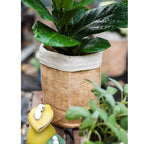 Paper Bag Garden Pot