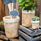 Paper Bag Garden Pot
