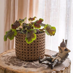 Rattan Texture Planter