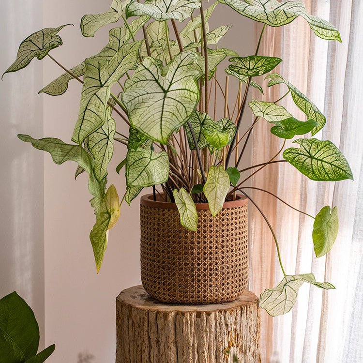 Rattan Texture Planter