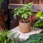 Rattan Texture Planter