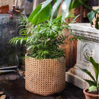 Rattan Texture Planter