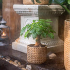 Rattan Texture Planter