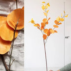 Round Leaf Eucalyptus Stem