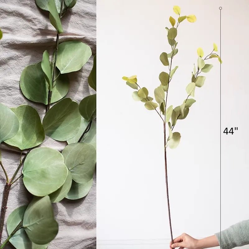 Round Leaf Eucalyptus Stem