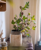 Wild Garden Faux Fig Stem 35.4" Tall
