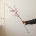 Cherry Blossom Branch