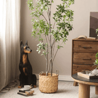 Bamboo Woven Storage Basket