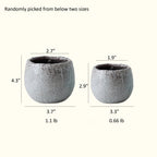 Crackle Glazed Succulent Pot Randomly Picked Set of 5
