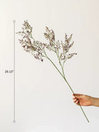 Wild Lavender Stem