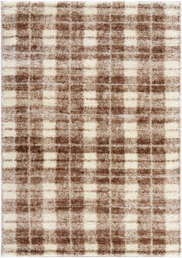Anfisa Beige Luxe Shag Area Rug
