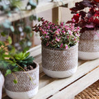Boho Straw-Look Flower Planter