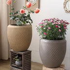 Comtemporary Swirl Planter