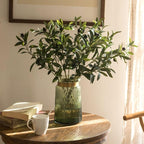 The Olive Stem