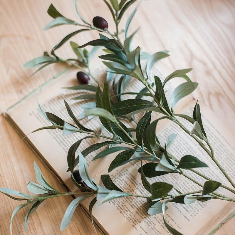 The Olive Stem