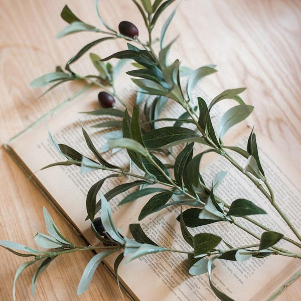 The Olive Stem