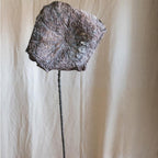 Artificial Lotus Dried Lotus Leaf and Pod
