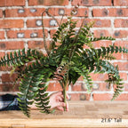 Artificial Faux Plant Big Rock Fern Stem 22" Tall