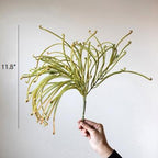 Artificial Plant Green Sarracenia Stem 12" Tall