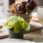 The Potted Orchid — Sage